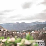 The Mountain Nest